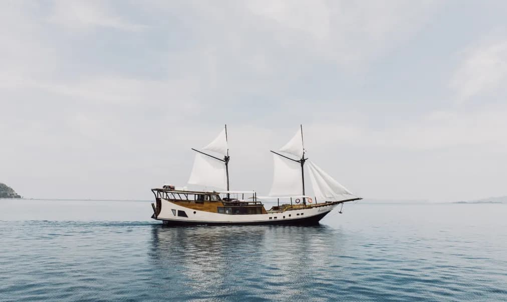 Vessel compliance detail